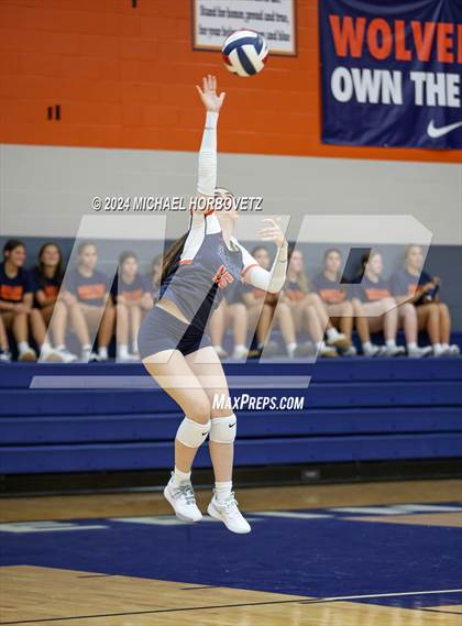 Thumbnail 3 in Lovejoy @ Wakeland photogallery.