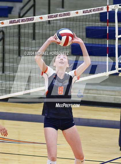 Thumbnail 1 in Lovejoy @ Wakeland photogallery.