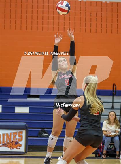 Thumbnail 1 in Lovejoy @ Wakeland photogallery.
