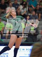 Photo from the gallery "Braden River @ Venice"