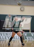 Photo from the gallery "Braden River @ Venice"