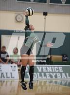 Photo from the gallery "Braden River @ Venice"