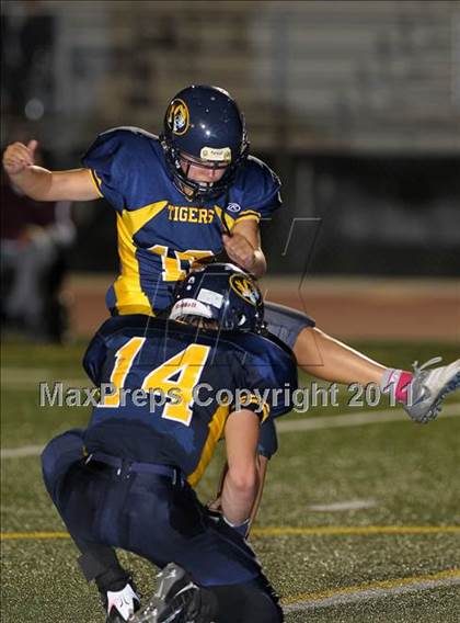 Thumbnail 3 in Florin @ Inderkum photogallery.