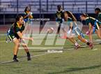 Photo from the gallery "Antelope @ Kennedy"