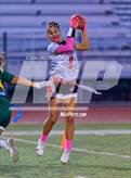 Photo from the gallery "Antelope @ Kennedy"