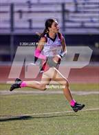 Photo from the gallery "Antelope @ Kennedy"