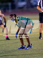 Photo from the gallery "Antelope @ Kennedy"
