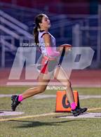 Photo from the gallery "Antelope @ Kennedy"