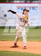 Photo from the gallery "Lennard @ Palmetto"