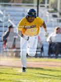 Photo from the gallery "Lennard @ Palmetto"