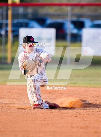 Thumbnail 3 in Lennard @ Palmetto photogallery.