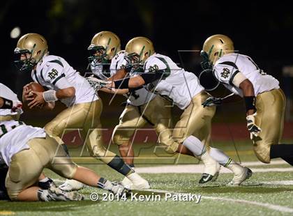 Thumbnail 2 in Notre Dame, WH @ Wilbur Cross photogallery.