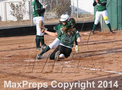Thumbnail 1 in Burroughs @ Tehachapi photogallery.