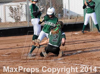 Thumbnail 2 in Burroughs @ Tehachapi photogallery.