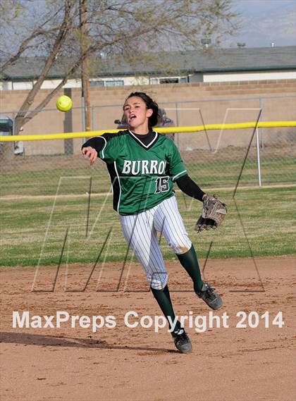 Thumbnail 3 in Burroughs @ Tehachapi photogallery.