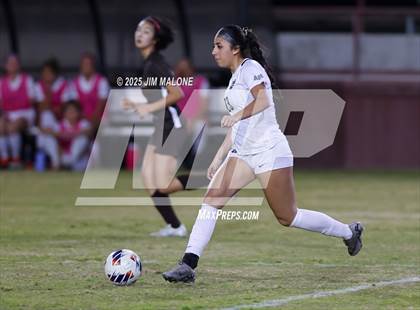 Thumbnail 1 in Archbishop Mitty vs. Saint Francis (CIFCCS D1 Championship) photogallery.