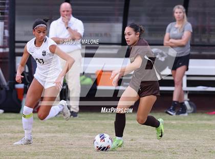 Thumbnail 2 in Archbishop Mitty vs. Saint Francis (CIFCCS D1 Championship) photogallery.