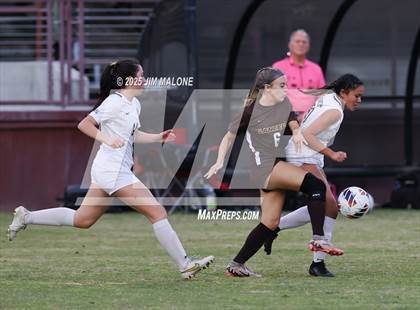 Thumbnail 2 in Archbishop Mitty vs. Saint Francis (CIFCCS D1 Championship) photogallery.