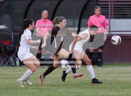 Thumbnail 3 in Archbishop Mitty vs. Saint Francis (CIFCCS D1 Championship) photogallery.