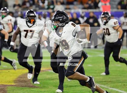 Thumbnail 1 in Desert Edge Vs Cactus (AIA 5A Final) photogallery.