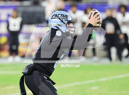 Thumbnail 3 in Desert Edge Vs Cactus (AIA 5A Final) photogallery.