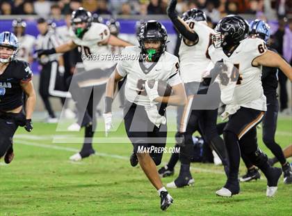 Thumbnail 3 in Desert Edge Vs Cactus (AIA 5A Final) photogallery.