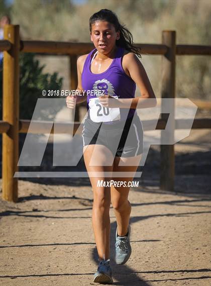 Thumbnail 1 in Golden League Meet #1  photogallery.