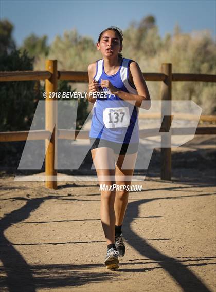 Thumbnail 3 in Golden League Meet #1  photogallery.