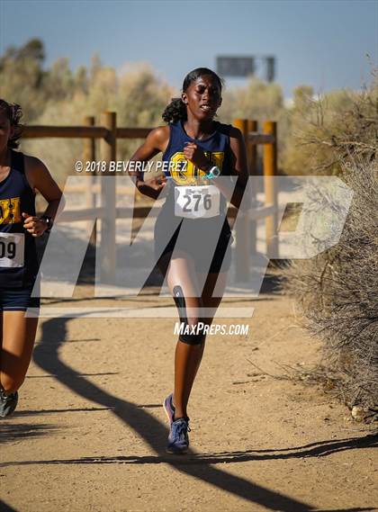 Thumbnail 1 in Golden League Meet #1  photogallery.