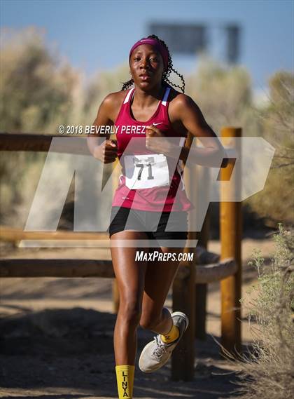 Thumbnail 2 in Golden League Meet #1  photogallery.