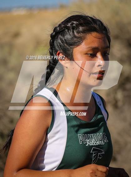 Thumbnail 3 in Golden League Meet #1  photogallery.