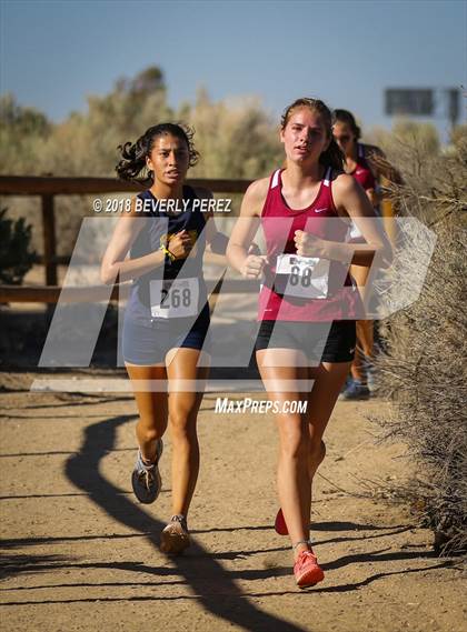 Thumbnail 2 in Golden League Meet #1  photogallery.
