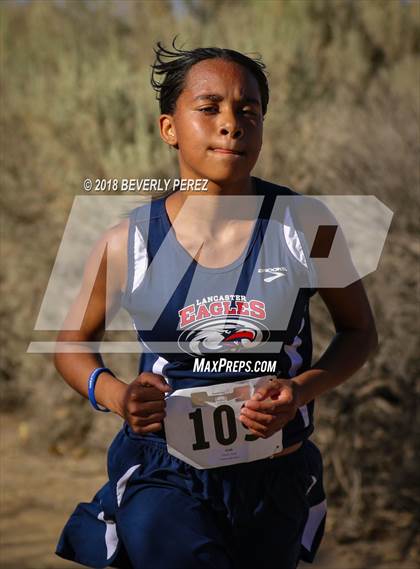 Thumbnail 3 in Golden League Meet #1  photogallery.