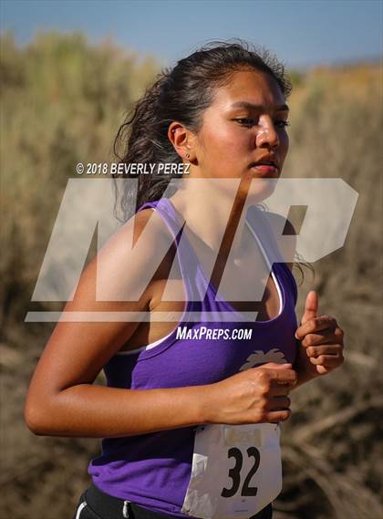 Thumbnail 1 in Golden League Meet #1  photogallery.