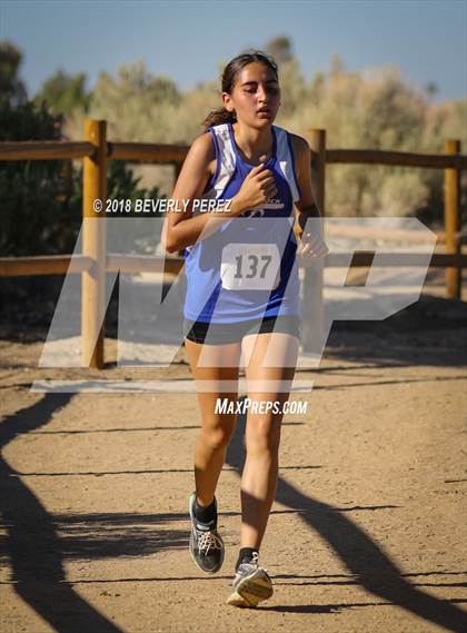 Thumbnail 2 in Golden League Meet #1  photogallery.