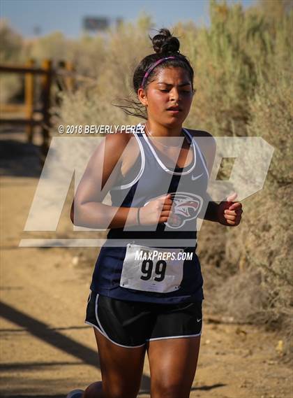 Thumbnail 3 in Golden League Meet #1  photogallery.