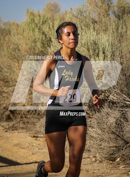 Thumbnail 1 in Golden League Meet #1  photogallery.