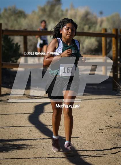 Thumbnail 3 in Golden League Meet #1  photogallery.