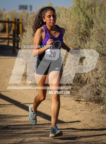 Thumbnail 2 in Golden League Meet #1  photogallery.