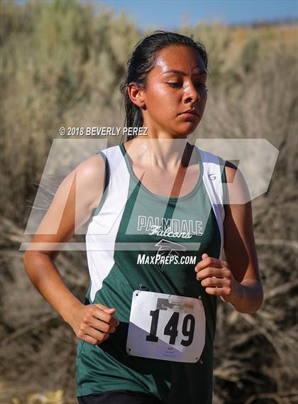 Thumbnail 2 in Golden League Meet #1  photogallery.
