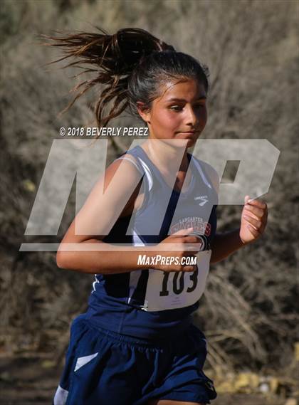 Thumbnail 3 in Golden League Meet #1  photogallery.