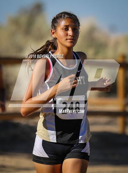 Thumbnail 3 in Golden League Meet #1  photogallery.