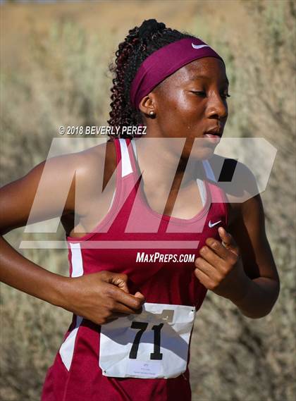 Thumbnail 2 in Golden League Meet #1  photogallery.
