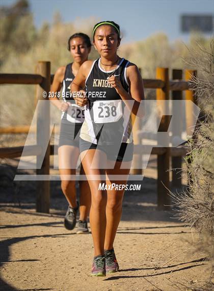 Thumbnail 2 in Golden League Meet #1  photogallery.