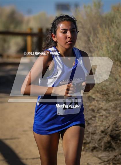 Thumbnail 1 in Golden League Meet #1  photogallery.