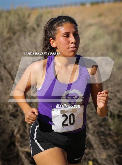 Thumbnail 3 in Golden League Meet #1  photogallery.