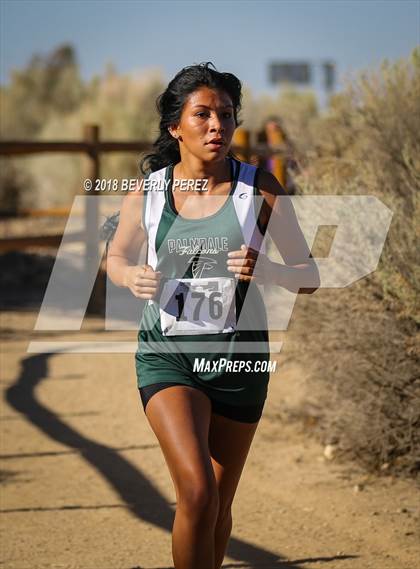 Thumbnail 1 in Golden League Meet #1  photogallery.