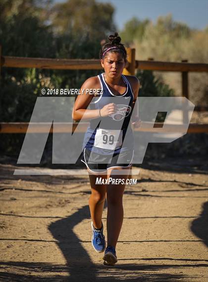 Thumbnail 2 in Golden League Meet #1  photogallery.