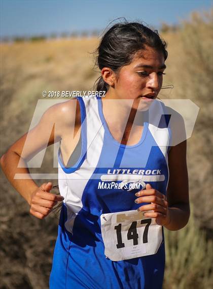 Thumbnail 1 in Golden League Meet #1  photogallery.