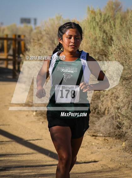 Thumbnail 3 in Golden League Meet #1  photogallery.